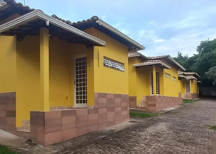 Cipó Maia