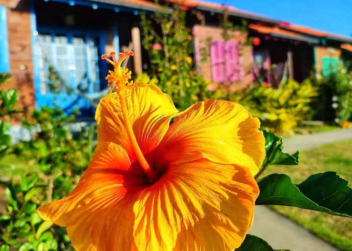 Prana Guest House