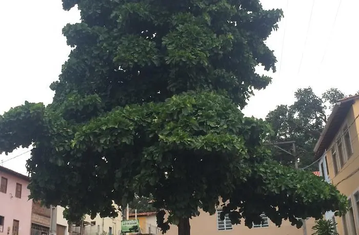 Pousada Amarela