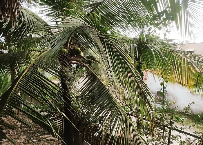 Pousada Tropical Brasil Jeri