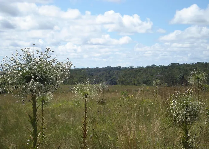 Pousada Jardim Da Chapada