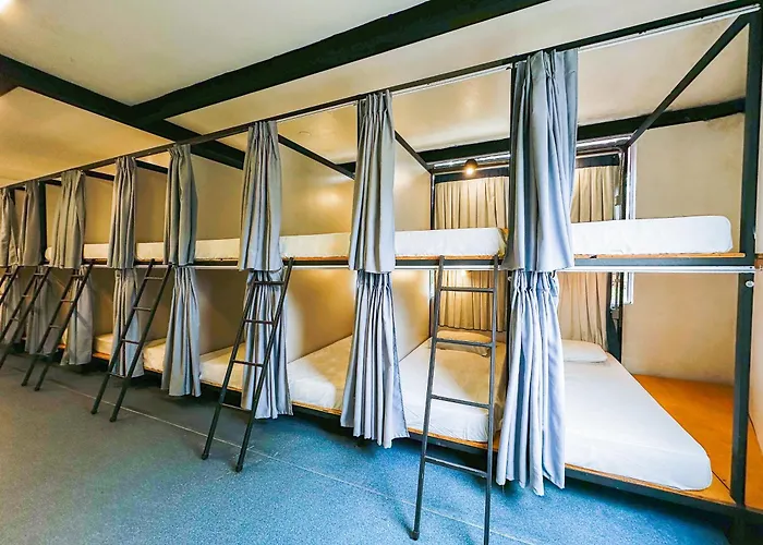 Laika Hostel