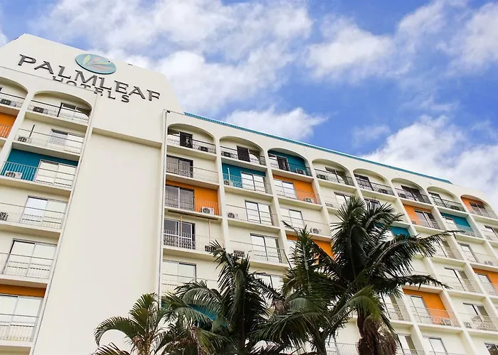 Palmleaf Grand Premium