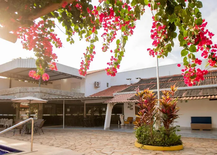 Tropical Garden