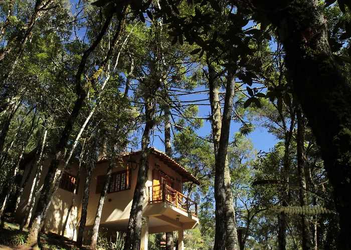Pousada Chale Da Floresta