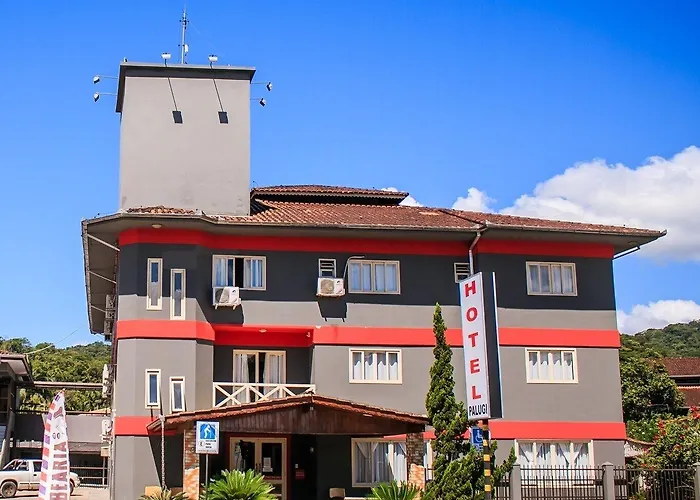 Palugi