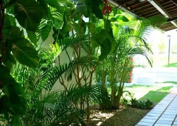 Pousada Do Beija Flor