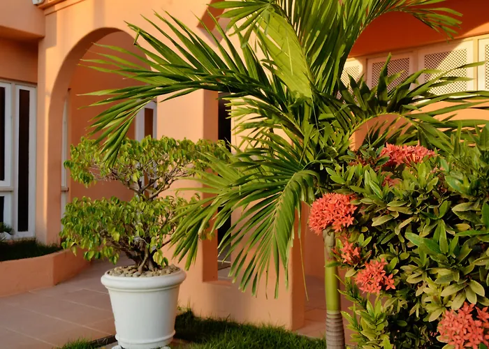 Hotel Terra Do Sol