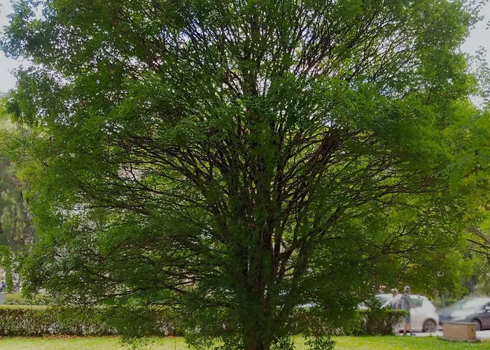 MOVA Hotel D'oeste - Localizado em frente a Praça Principal da Cidade, na área Central - Pé na Praça Poços de Caldas, Brasil