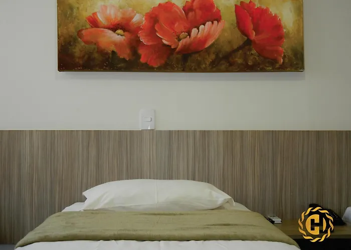 Hotel Castro Palmas , Brazil