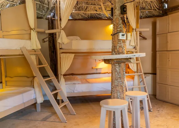 Treehouse Kitecamp Jericoacoara