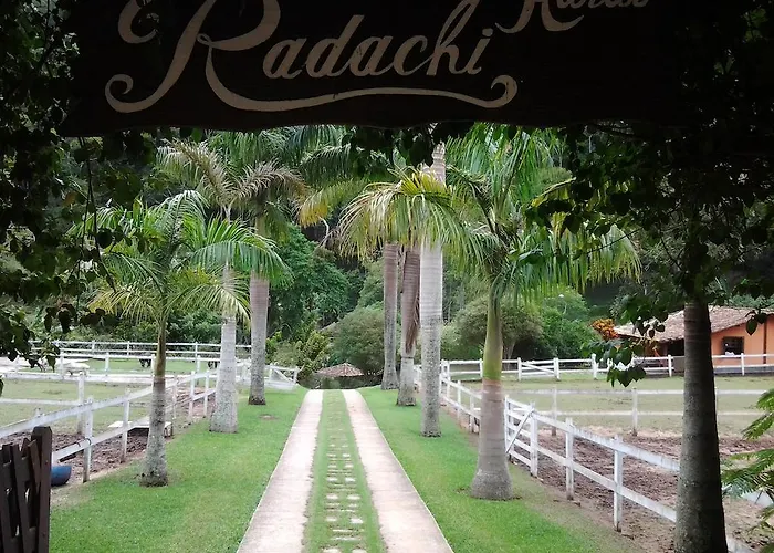Haras Radachi