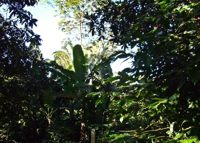 Pousada Sítio do Alemão