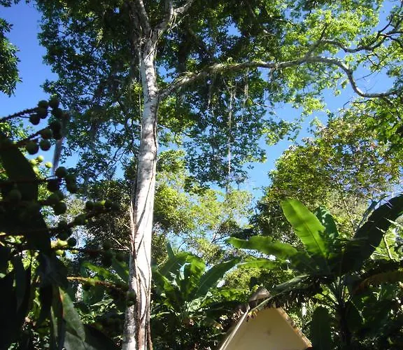 Pousada Sítio do Alemão