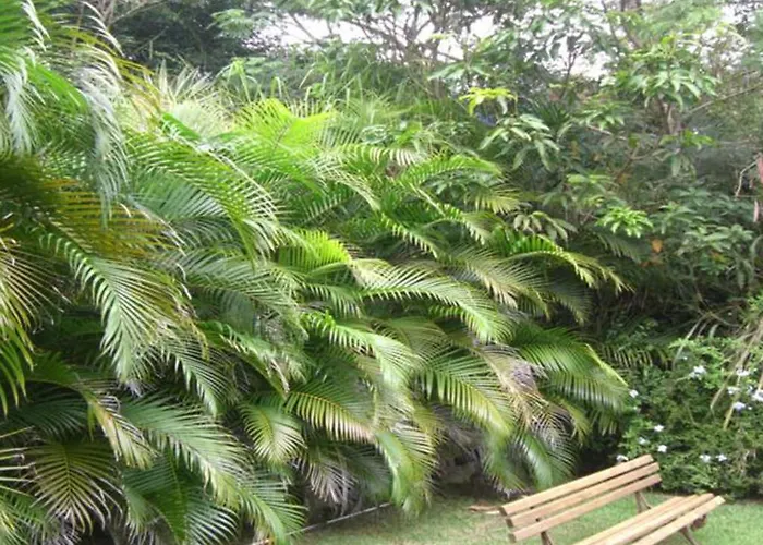 Htl Telhado Verde