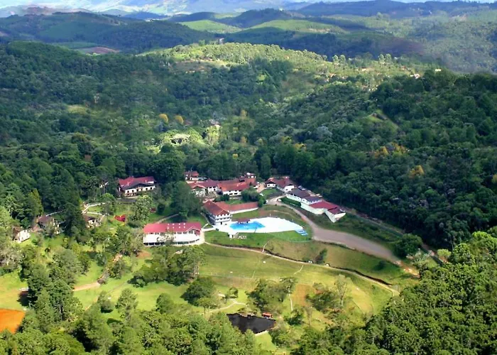 Cabeça De Boi