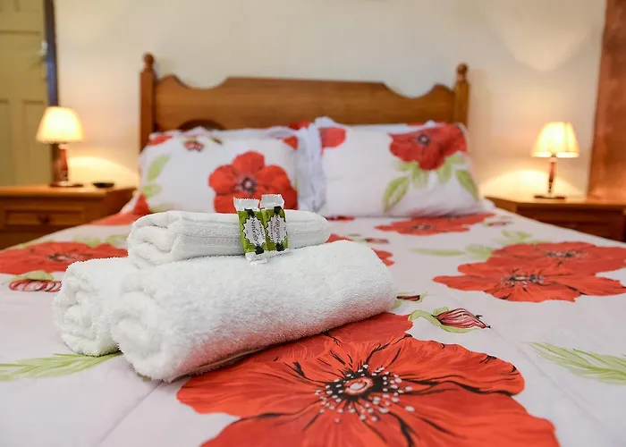 Rio Hotel