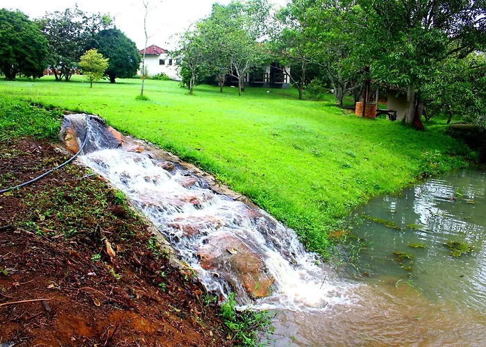 Hotel Fazenda Canario Da Terra