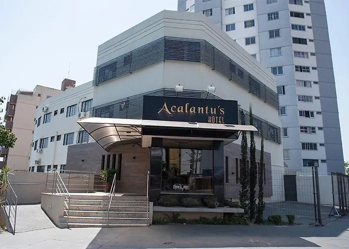 Acalantus