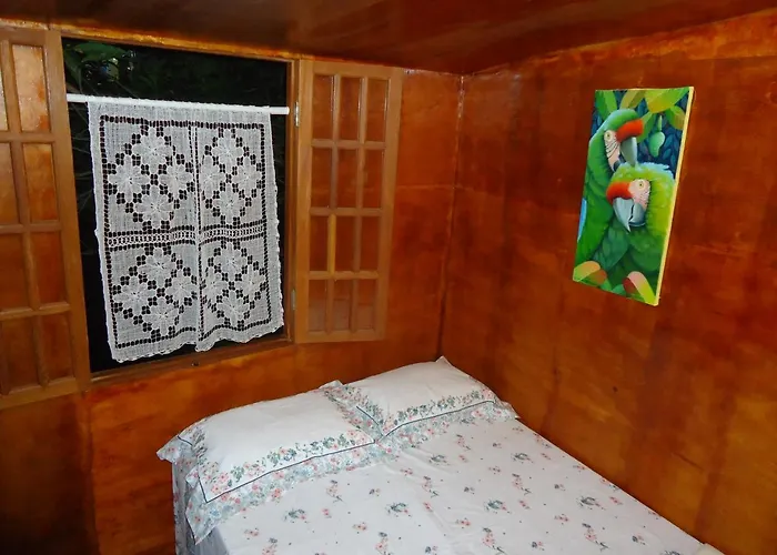 Casa na Árvore Salvador, Brasil