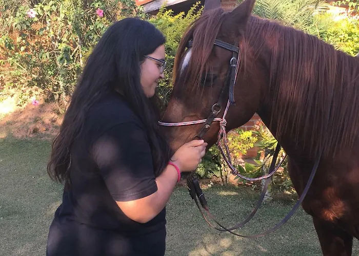 Rancho Cavalo Mania