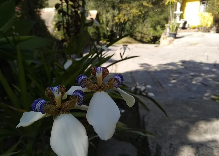 Pousada Panorama